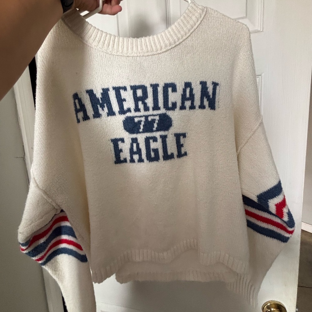 American Eagle Outfitters Cream and Blue Crew Neck Sweater